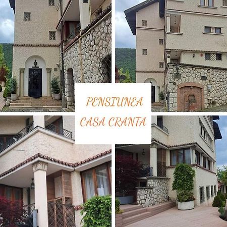 Pensiunea Casa Cranta Брашов Екстериор снимка